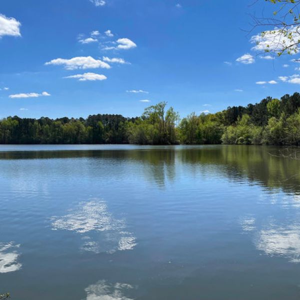 Calm lake surrounded by trees with blue sky and clouds reflected on the water.